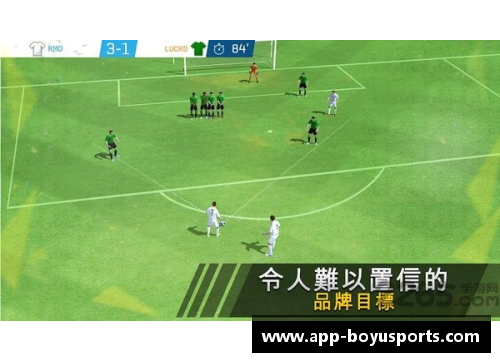 足球明星：揭秘球场背后的辉煌生涯