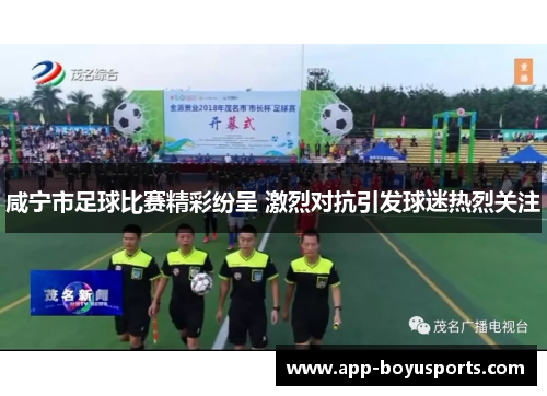 咸宁市足球比赛精彩纷呈 激烈对抗引发球迷热烈关注